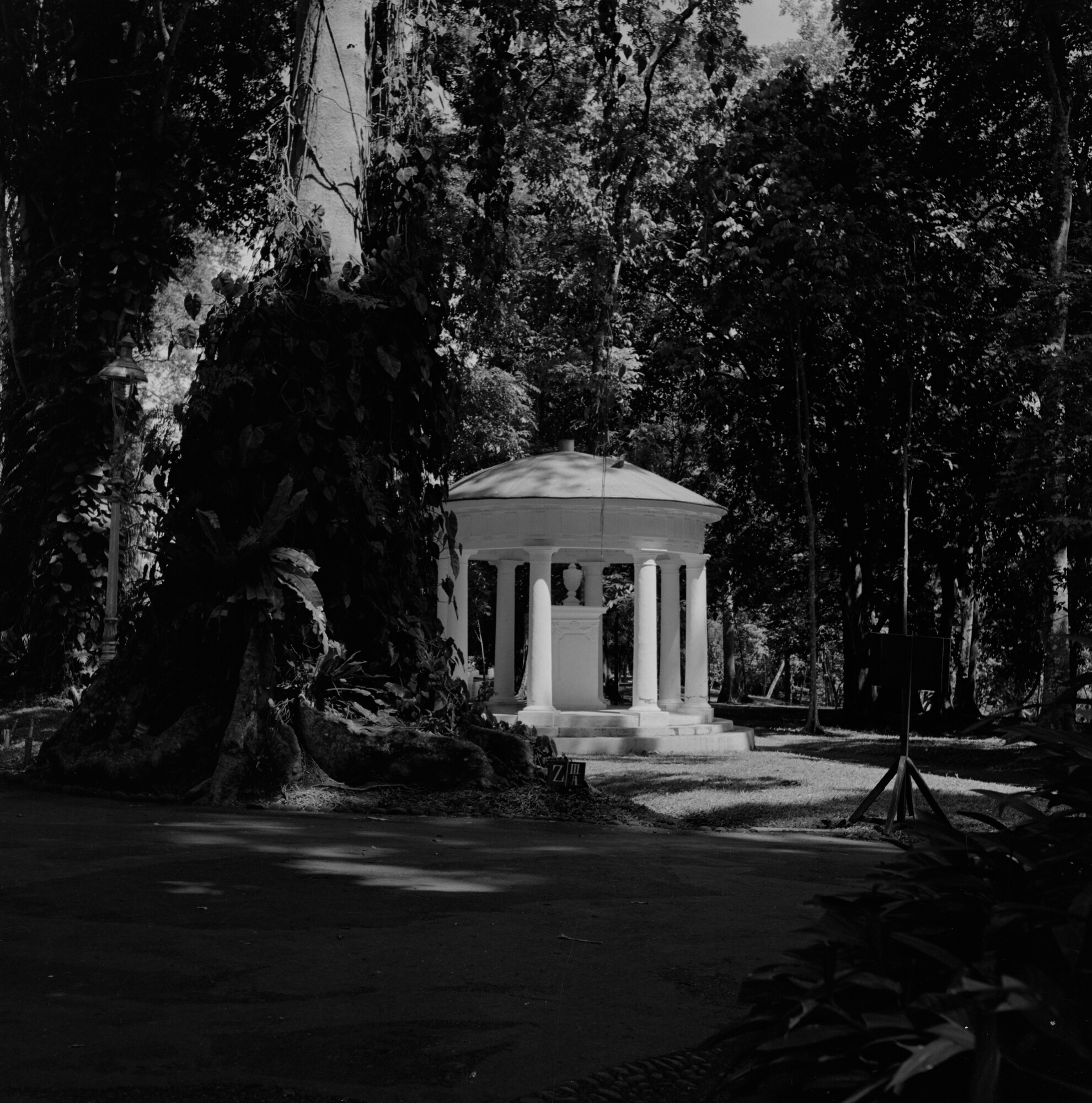 2015.3716; Negatief van de plantentuin in Buitenzorg (Bogor); negatief