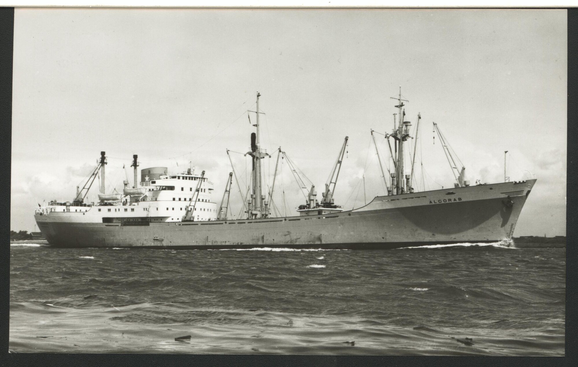 1993.6576; Het vrachtschip ms. 'Algorab' van Van Nievelt Goudriaan & Co.; prentbriefkaart