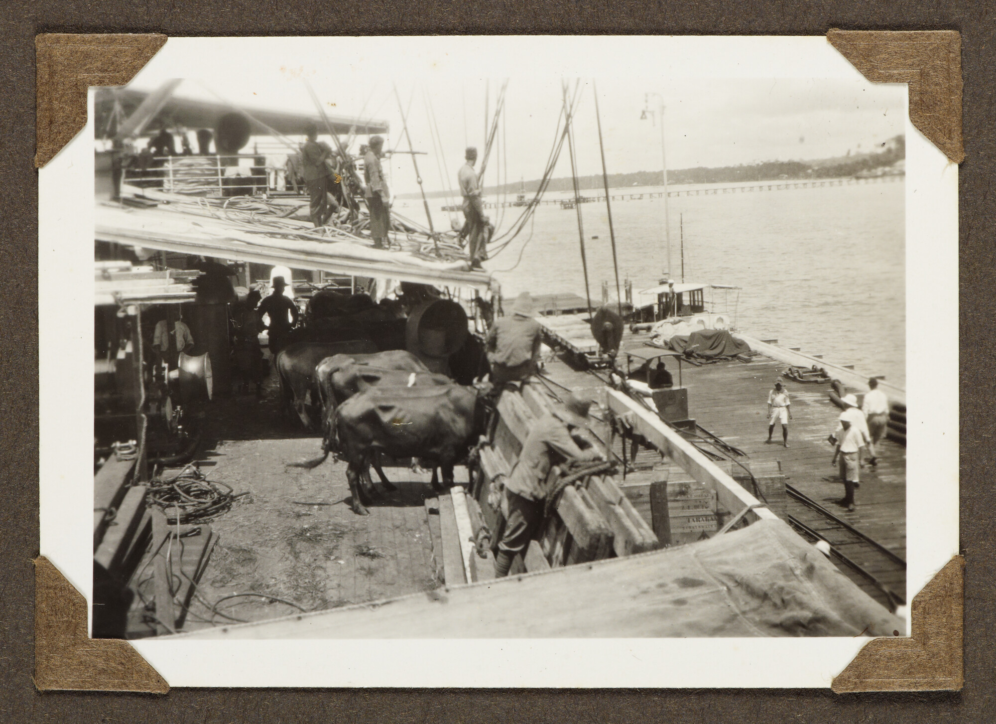 S.5548(091); Persoonlijk album van J.D. van Schooten met foto's aan boord van het ss. Tjikini; fotoalbum