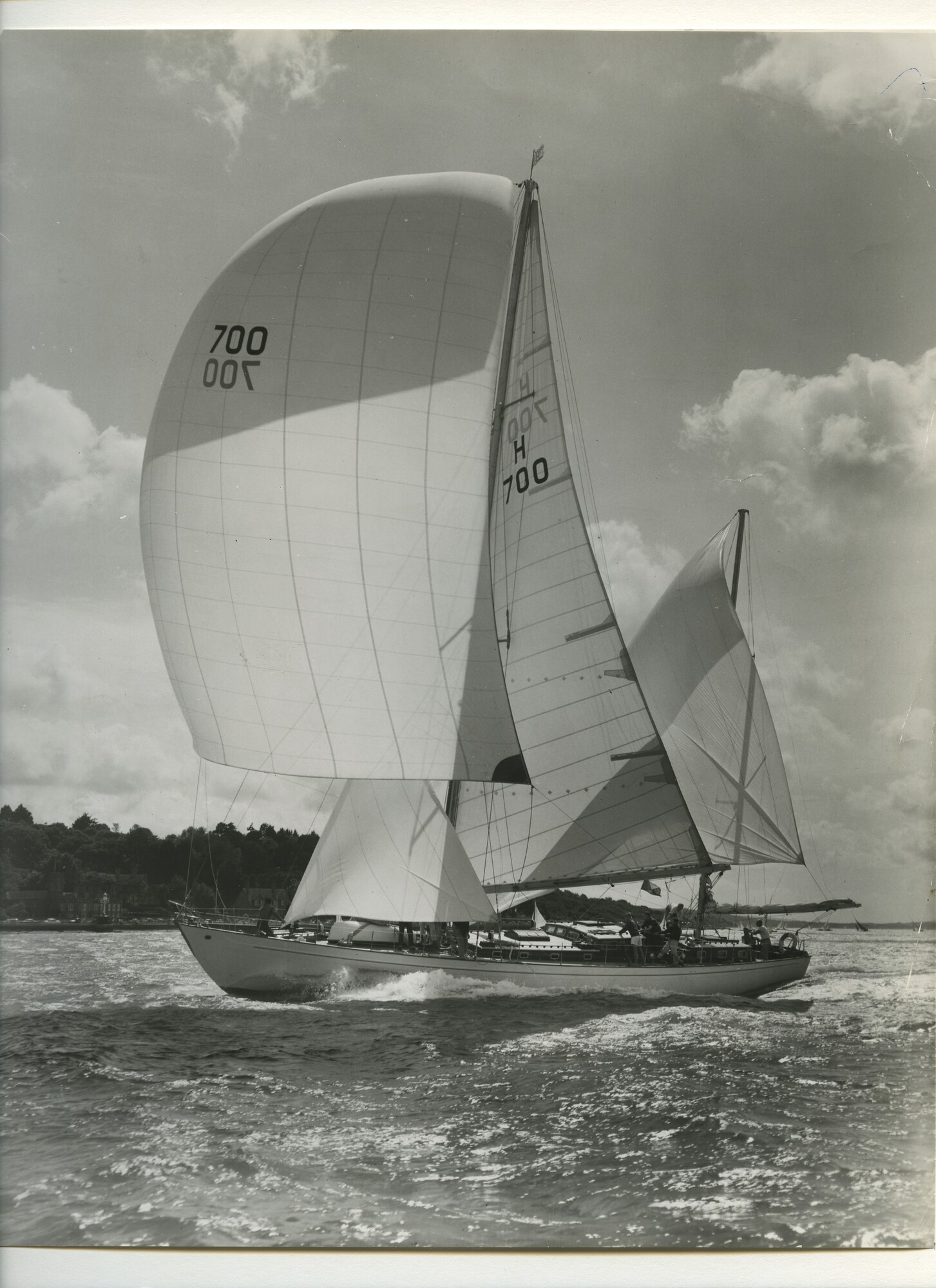 S.6507(01)2301; Foto van de Stormvogel (700); foto