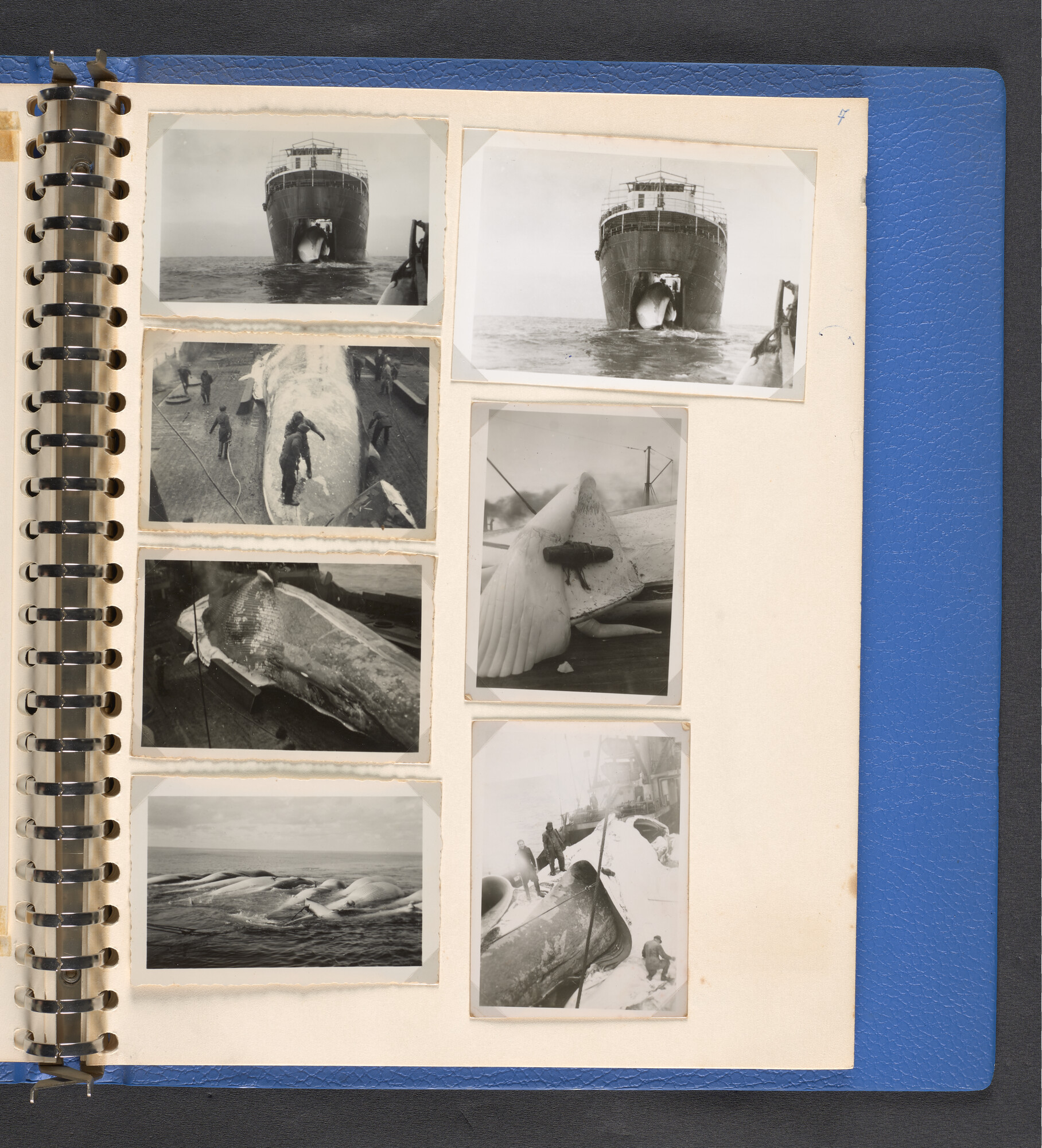 2022.1516; Multomap met foto's gemaakt tijdens reizen van walvisfabrieksschip Willem Barendsz (I), seizoenen 1947-'48 t/m 1950-'51; fotoalbum