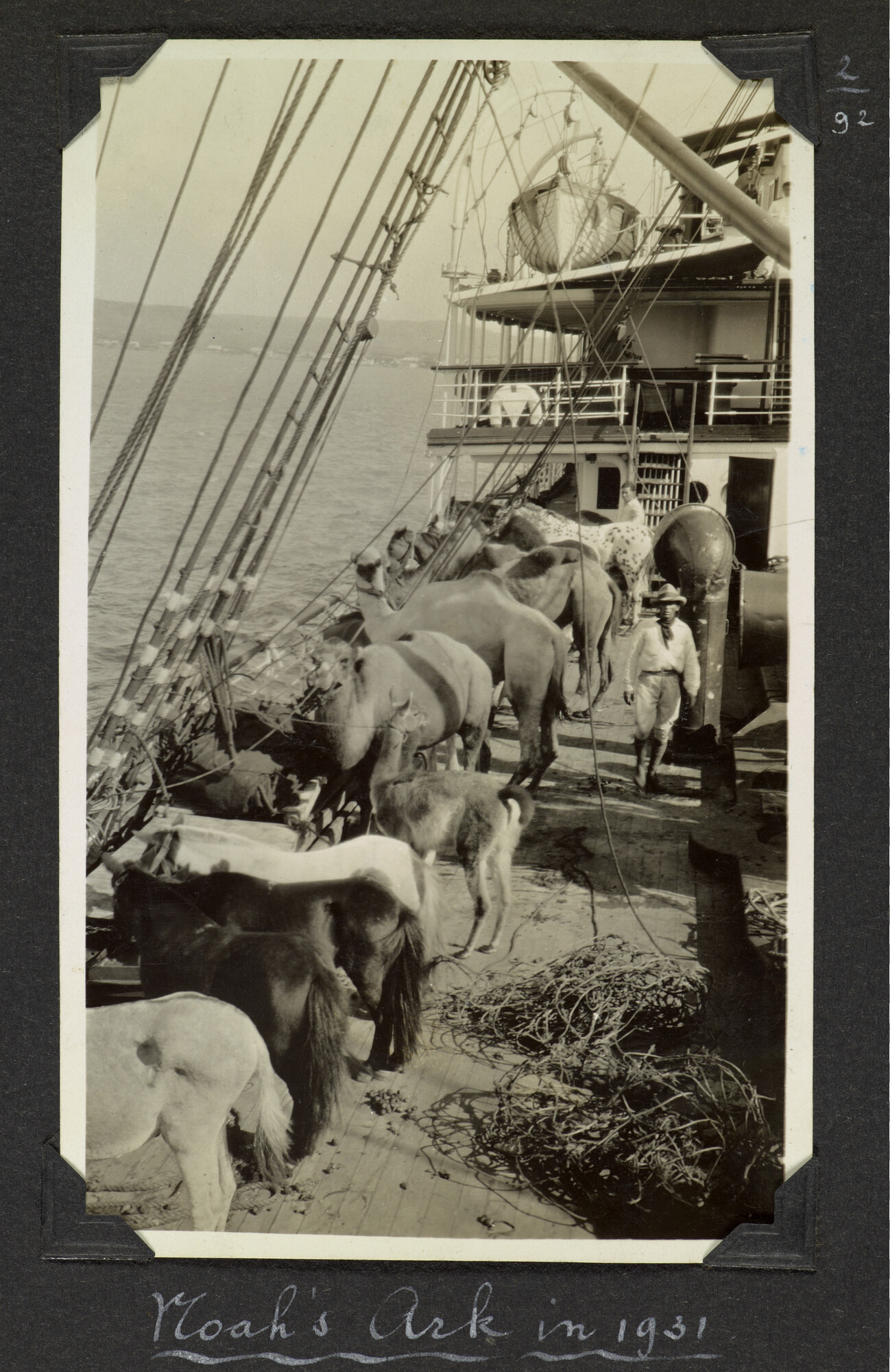 S.6156(06)l; Fotoalbum l) uit een serie van veertien uit de Collectie Job over zijn reizen met ss. 'Stuyvesant' en 'Venezuela' van de KNSM [...]; fotoalbum