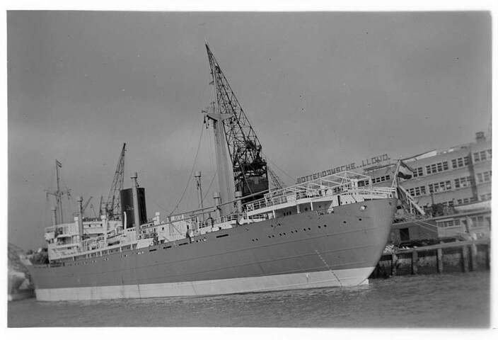 1995.5289; Het vrachtschip ms. 'Slamat' van de Koninklijke Rotterdamsche Lloyd ligt afgemeerd aan de kade te Rotterdam bij het kantoor van de Rotterdamsche Lloyd; negatief