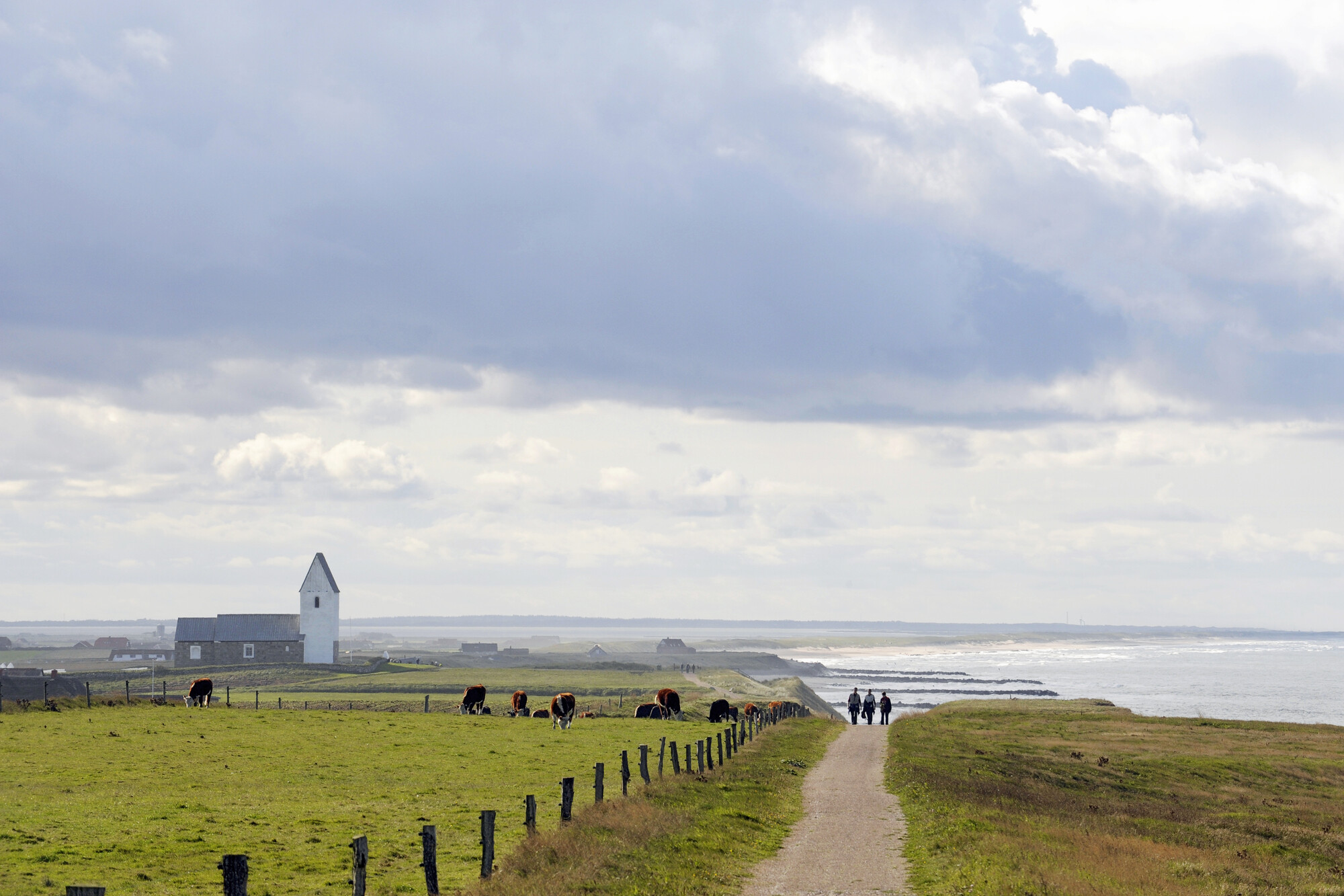 2019.0217; Kleurenfoto van natuurgebied Bovbjerg Klint, Denemarken, 2008; foto