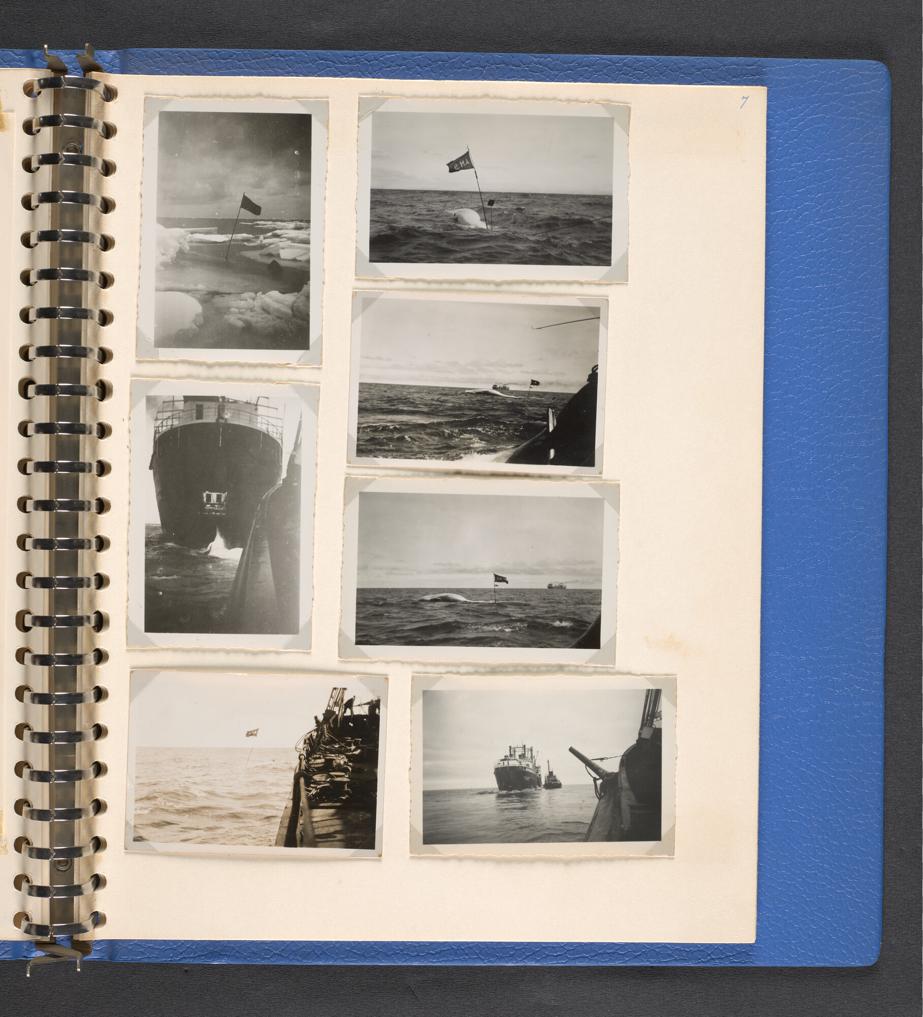 2022.1516; Multomap met foto's gemaakt tijdens reizen van walvisfabrieksschip Willem Barendsz (I), seizoenen 1947-'48 t/m 1950-'51; fotoalbum