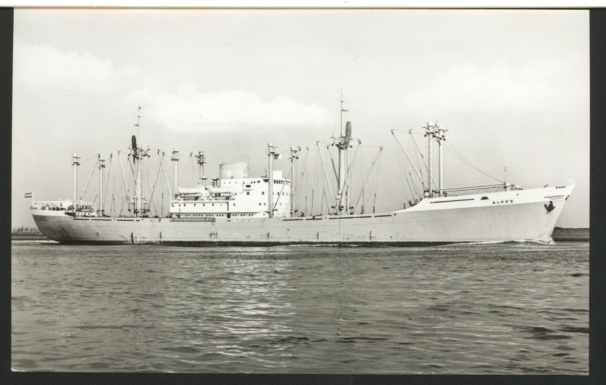 1993.6577; Het vrachtschip ms. 'Alkes' van Van Nievelt Goudriaan & Co.; prentbriefkaart