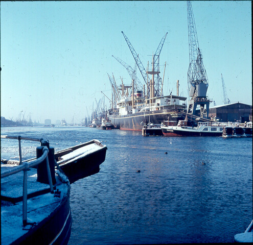 S.9100(0521); Het vrachtschip ms. 'Woltersum'; diapositief