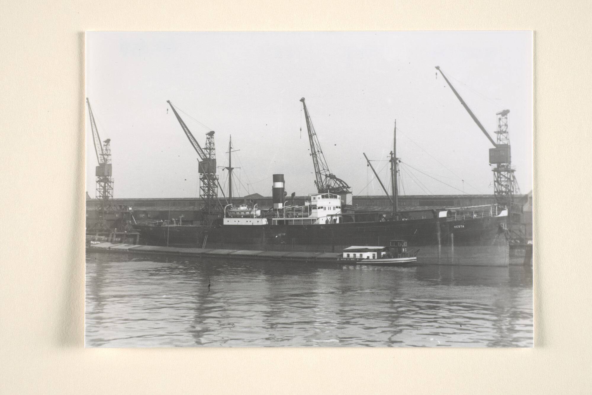 1995.6977; Het vrachtschip ss. Vesta van de KNSM in een haven; foto