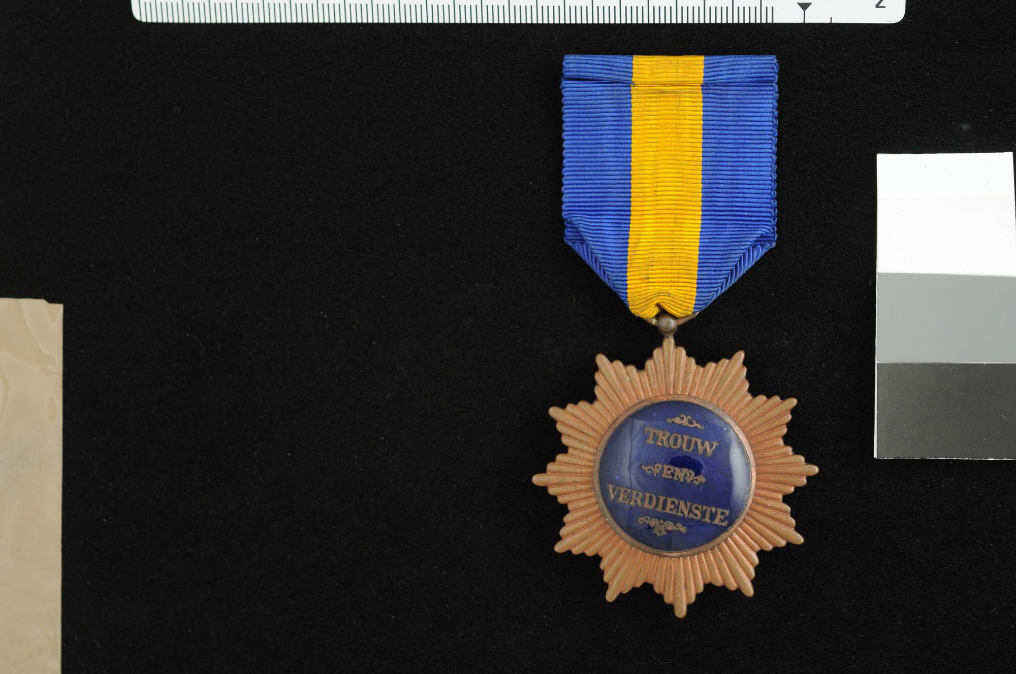A.1355(09); Bronzen Ster voor Trouw en Verdienste, 1894; onderscheiding