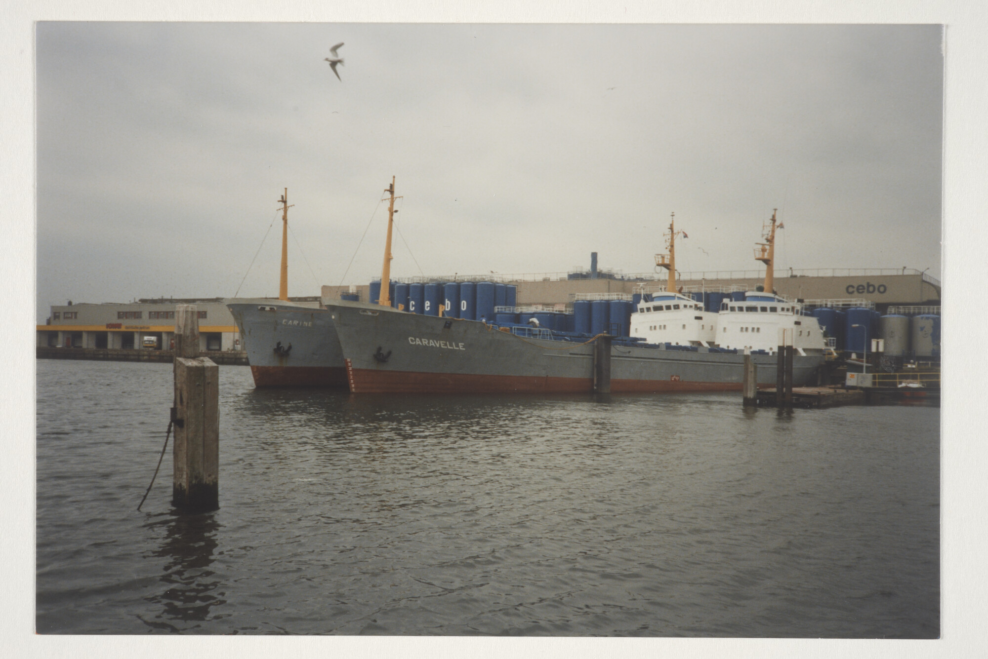 2000.0860; Kleurenfoto van de cementschepen ms. Carine (ex- Bart, Garza en Geestduin) en Caravelle van Cebo Marine BV; foto