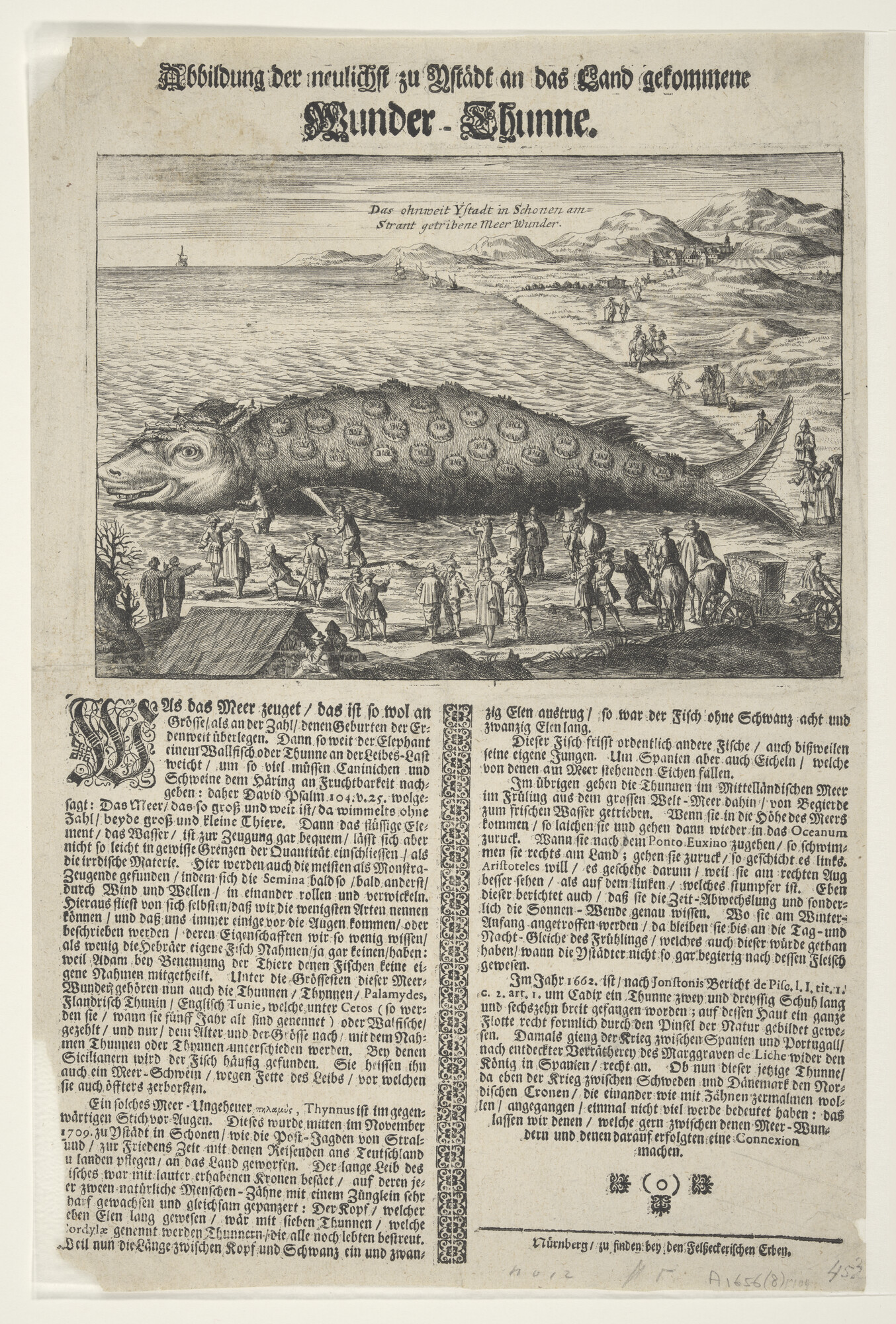 A.1656(08); Abbildung der neulichet zu Y Stadt an das Land gekomme Wunder Thunne; prent