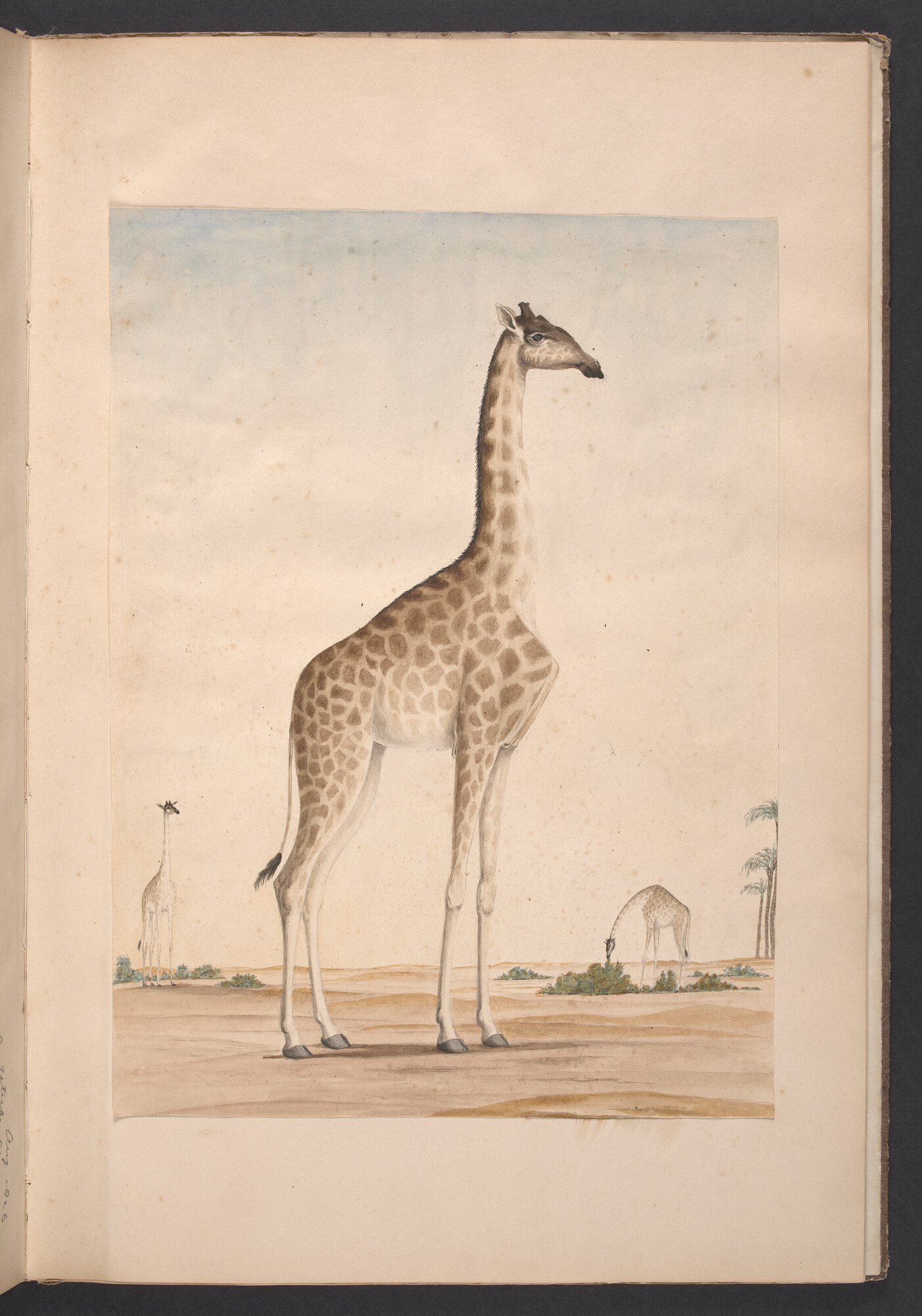 S.1277(09)53; Album met tekeningen van Dirk Muller, Jacob Swart en W. Stort; album