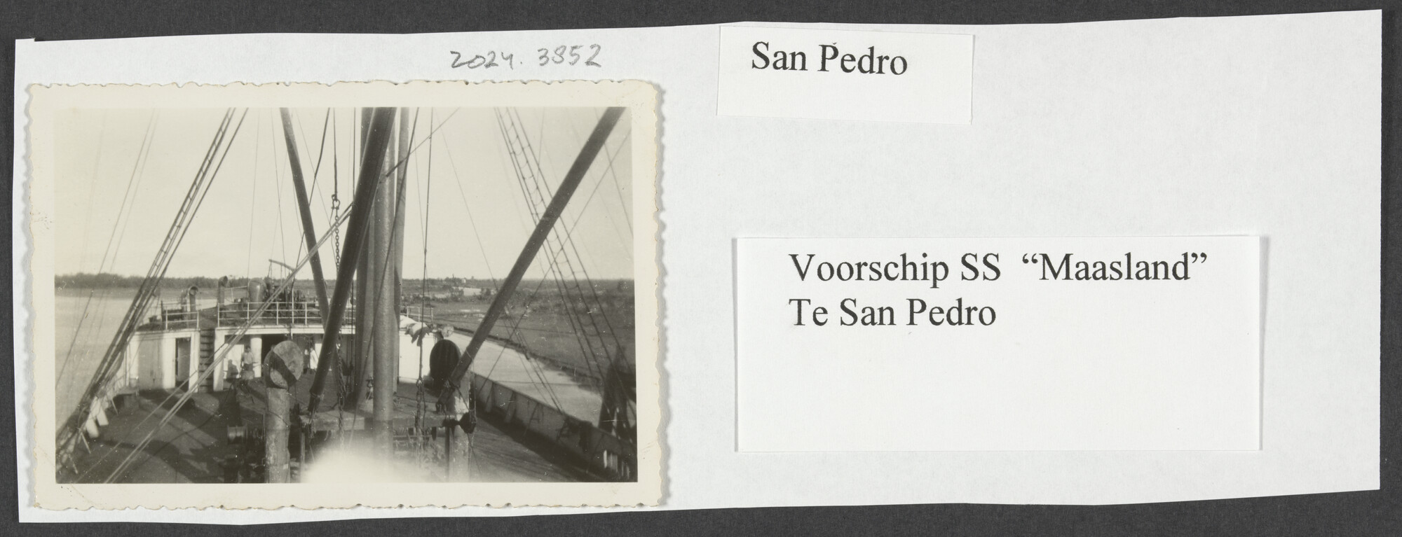 2024.3852; Zwart-wit foto van het voorschip van ss. Maasland te San Pedro (CA); foto