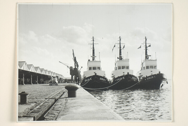 S.5219(12)0407; De havensleepboten Schelde I, Schelde II en Schelde III gebouwd op de [...]; foto