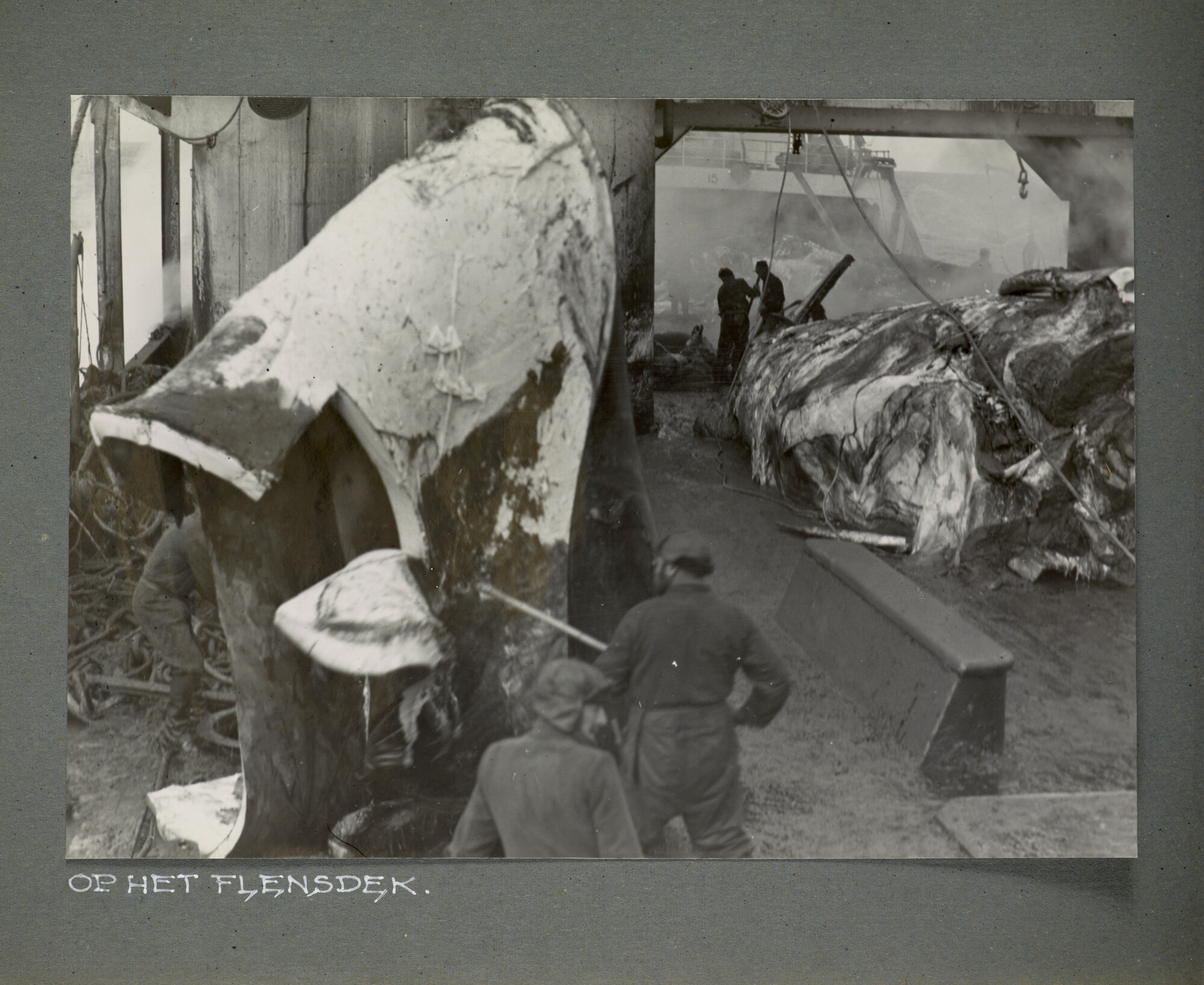 1996.1629; Foto's gemaakt aan boord van het walvismoederschip ms. Willem Barendsz (I); fotoalbum