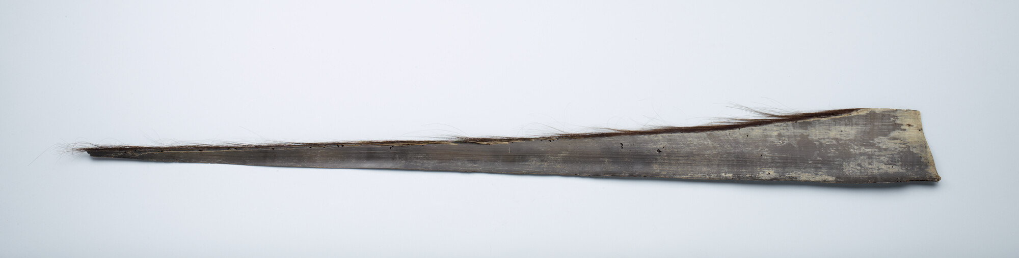 S.7055(30); Balein van een "right whale" (echte walvis, baleinwalvis); walvisproduct
