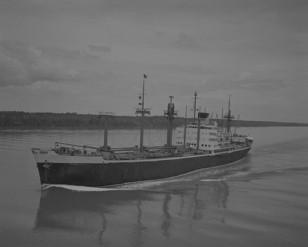 2015.4226; Negatief van ms. Karimun; negatief