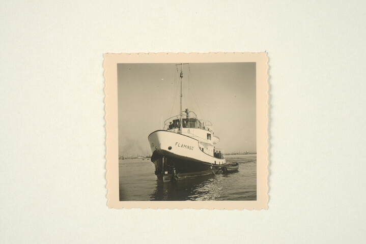 S.5219(12)0018; Foto van de haven- en zeesleepboot Flamingo; foto