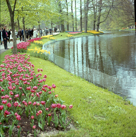 S.9100(0748); De 'Keukenhof' bij Lisse; diapositief