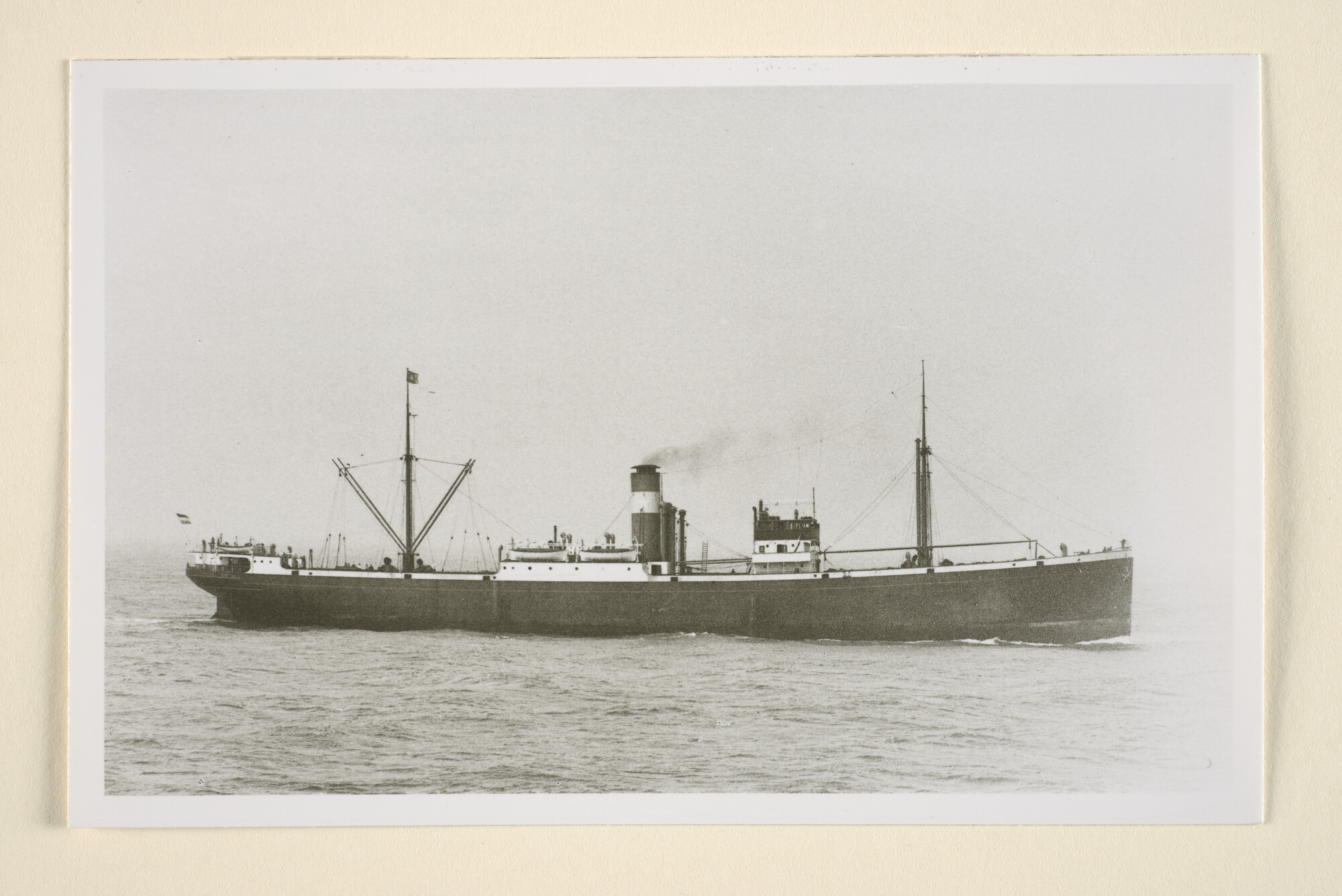1996.0849; Het vrachtschip ss. 'Alcyone' van Van Nievelt Goudriaan & Co; foto