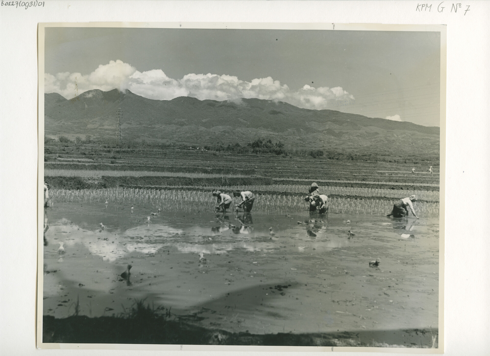 B.0227(0931)01; Foto van het werk op de sawah's (rijstvelden) bij Garoet op West-Java; foto