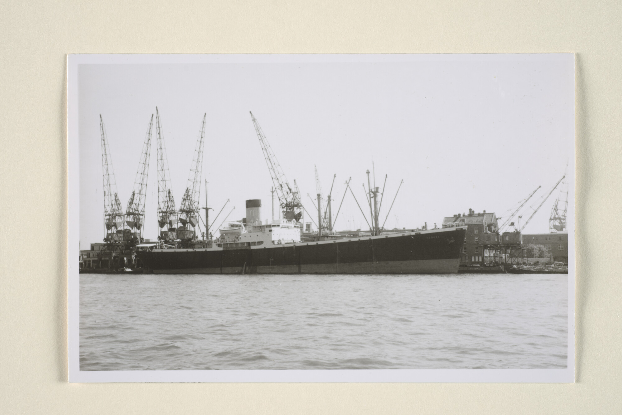 1995.4978; Het vrachtschip ms. Nanusa van de Stoomvaart Maatschappij Nederland (ex- Cape San Lucas en ex- Congostroom) in de haven van Amsterdam; foto