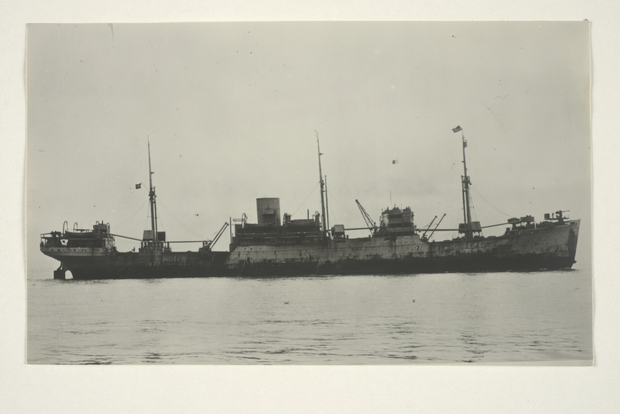 2000.3404; Het vrachtschip ms. 'Tabian' van de SMN; foto