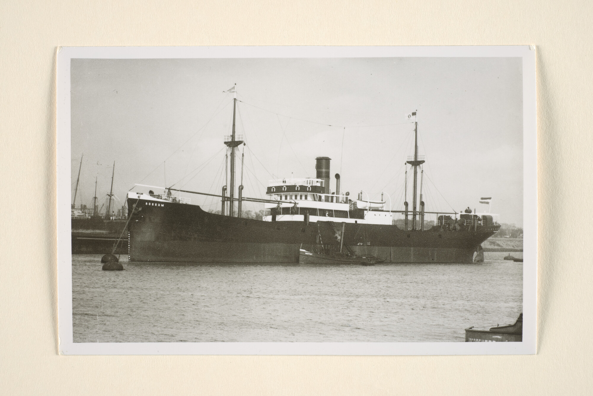 1995.7012; Het vrachtschip ss. 'Rossum' van de NV; foto