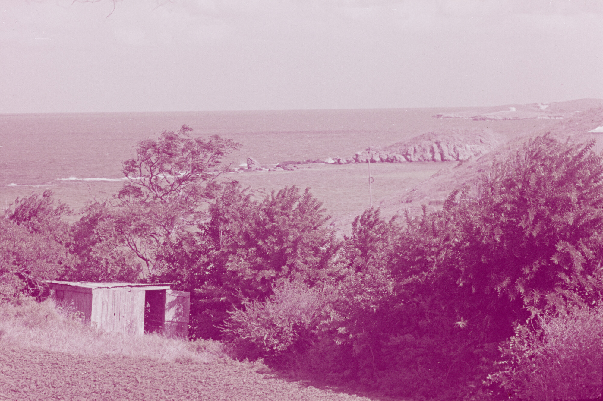 2015.0780; Dia van een kustlandschap op Bermuda; diapositief