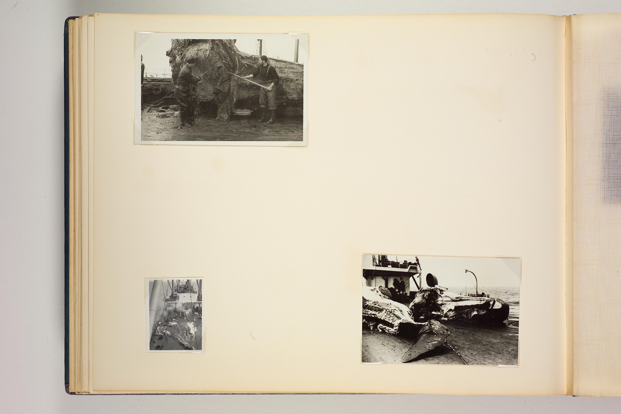 1990.0579; Tweede album met foto's van het walvismoederschip ms. Willem Barendsz (I); fotoalbum