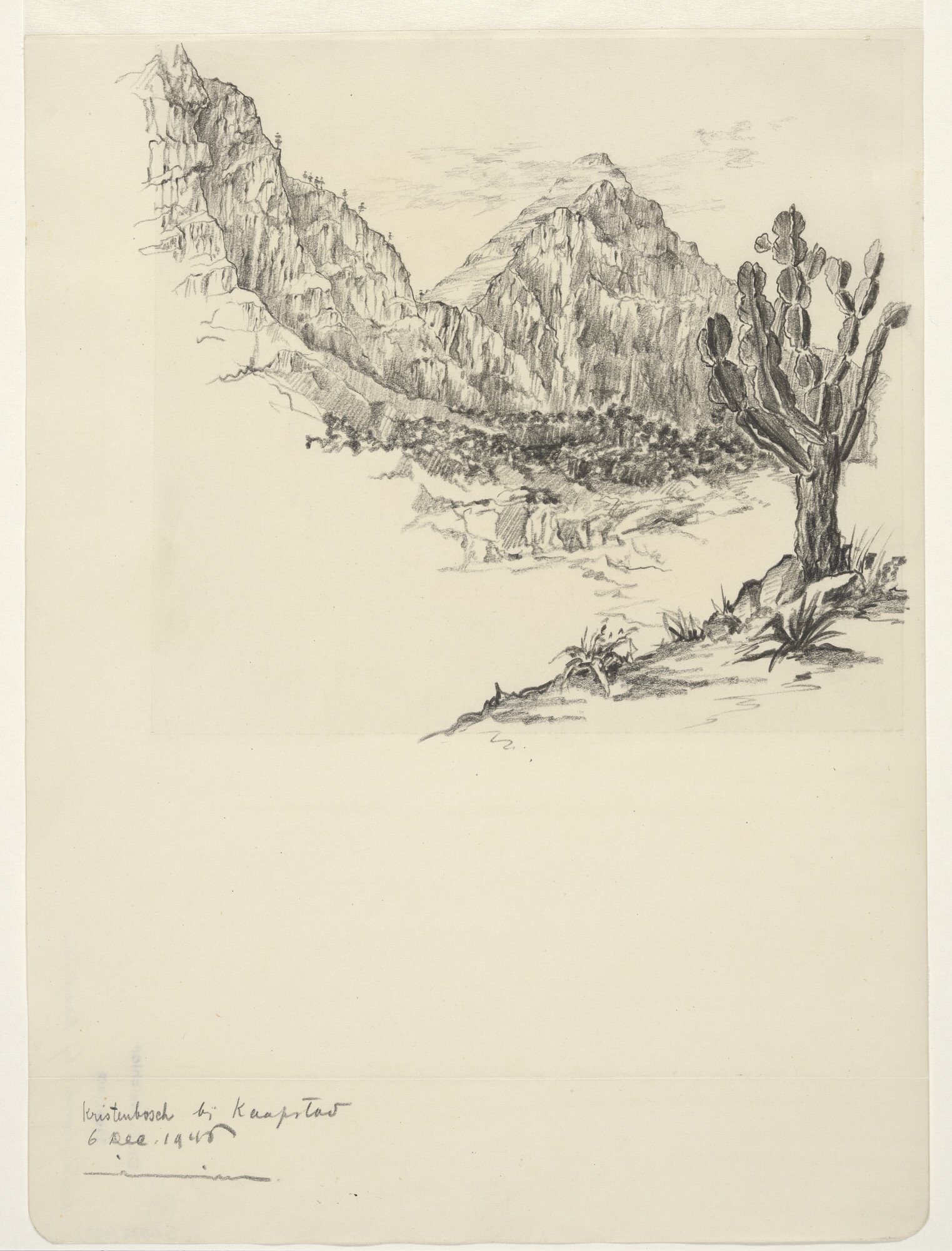 S.4035(033); Kristenbosch bij Kaapstad; tekening