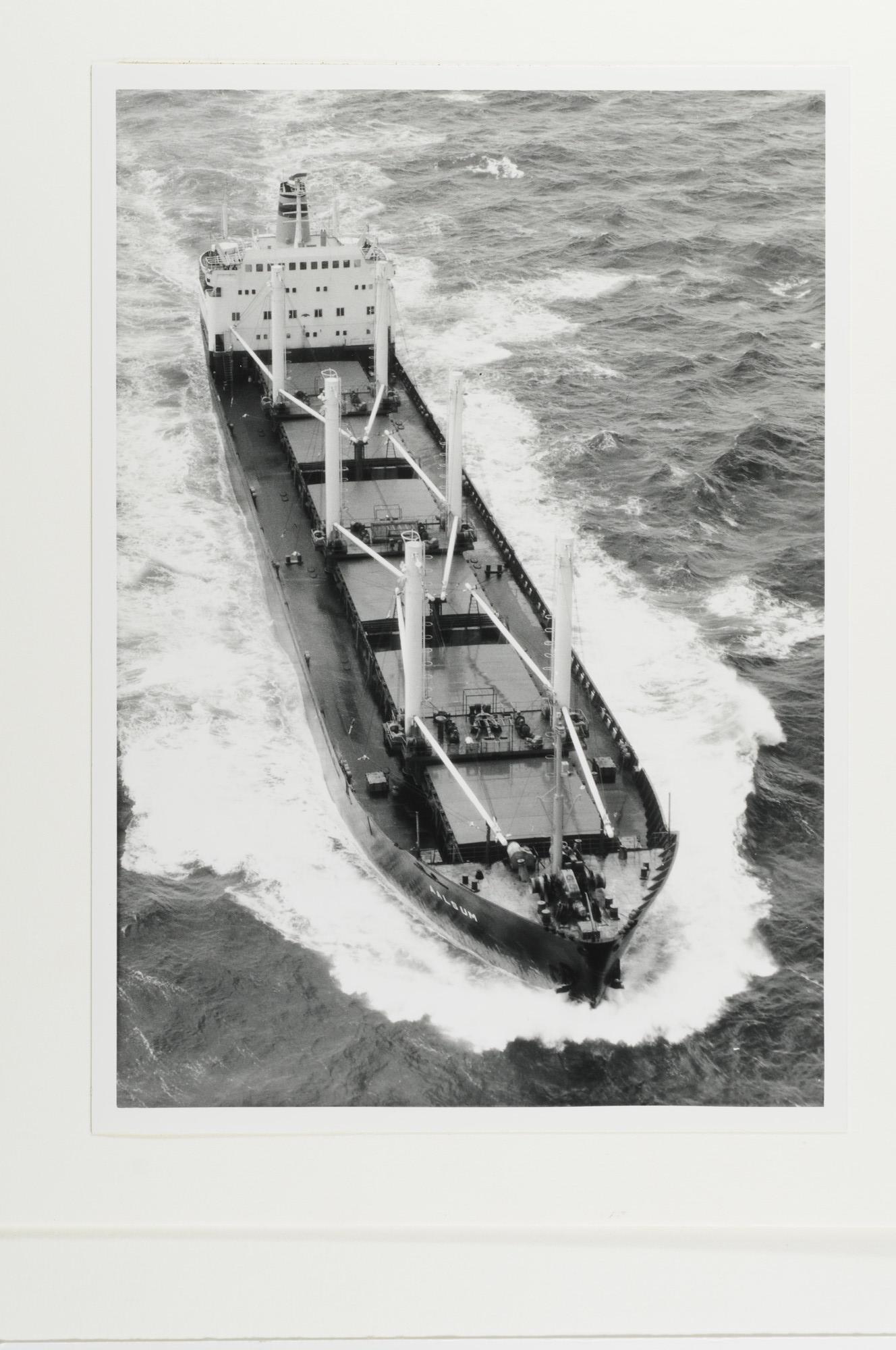 1993.1019; De bulk-carrier ms. 'Aalsum' van de NV; foto