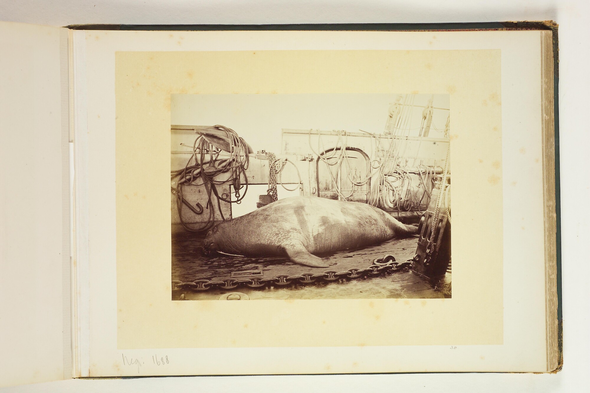 A.4325; Album met foto's van de noordpoolreis van de Pandora; fotoalbum