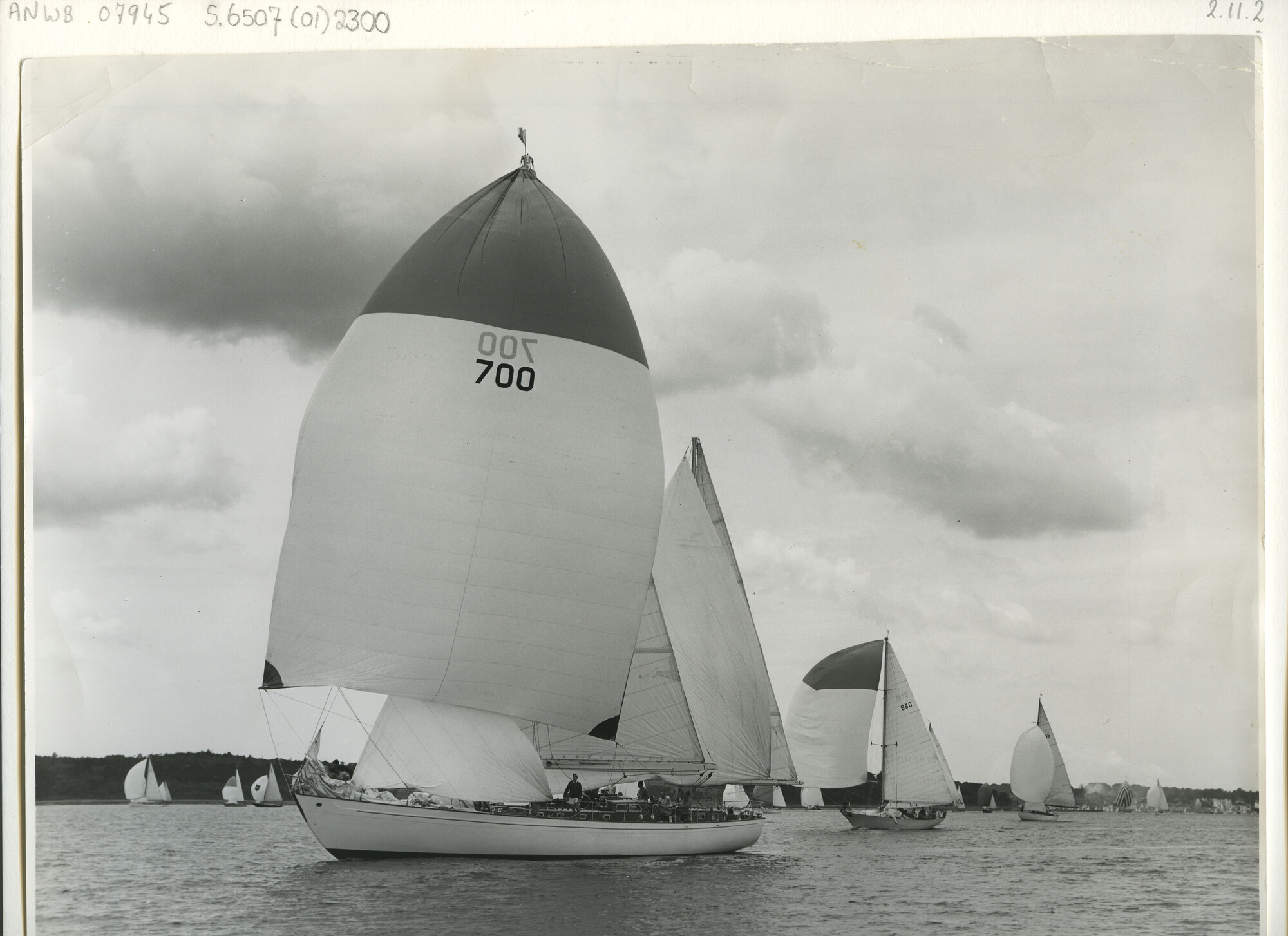 S.6507(01)2300; Foto van de Stormvogel (700); foto