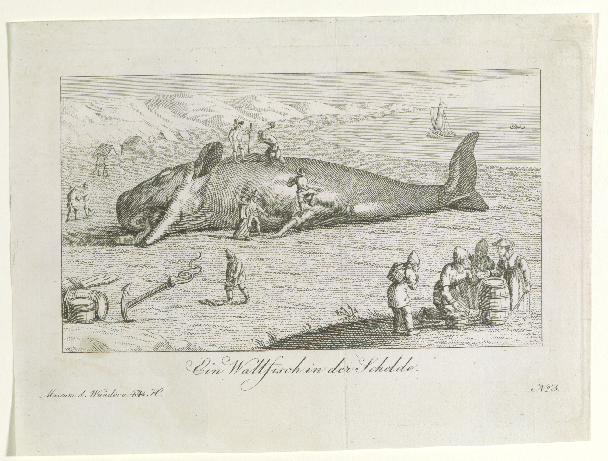 2013.0864; Gravure van een walvis in de Schelde; gravure