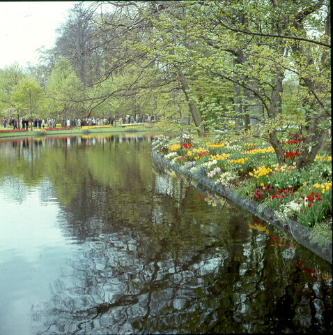S.9100(0747); De 'Keukenhof' bij Lisse; diapositief