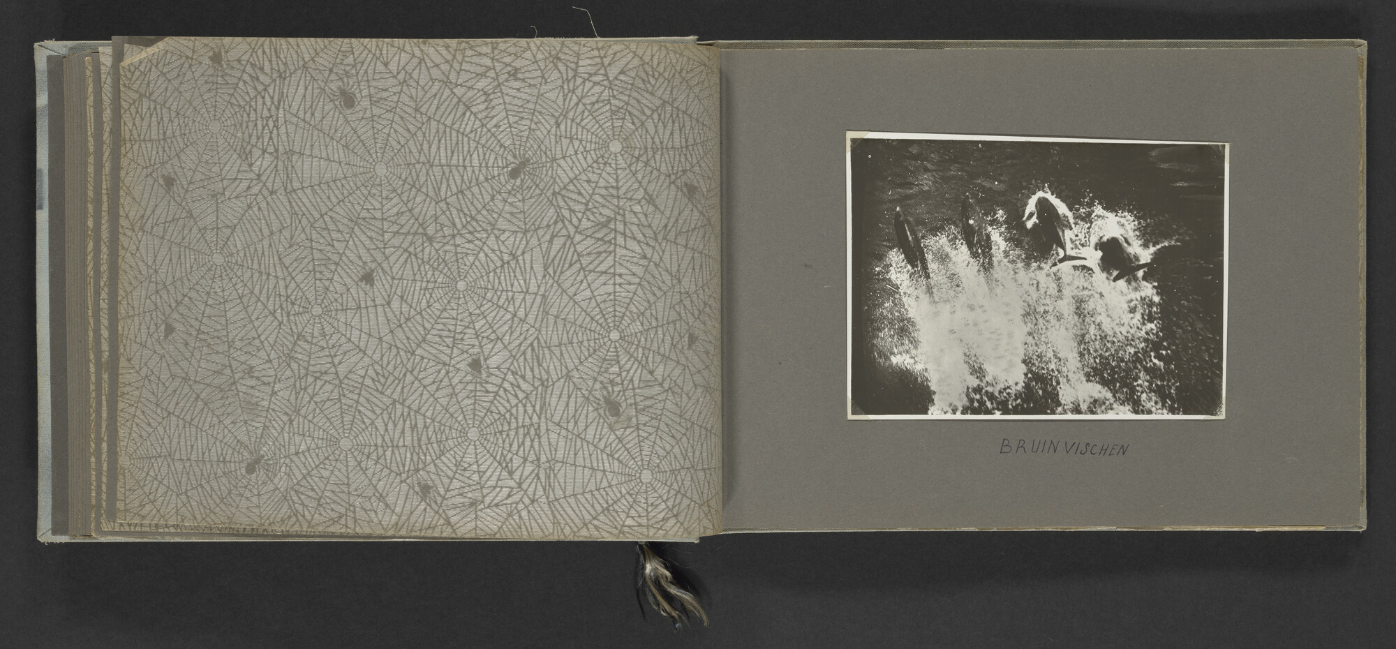 2024.3841; Fotoalbum van C.J. (Kees) de Vries, machinist op schepen van de Koninklijke Hollandsche Lloyd tussen 1928 en 1934; fotoalbum