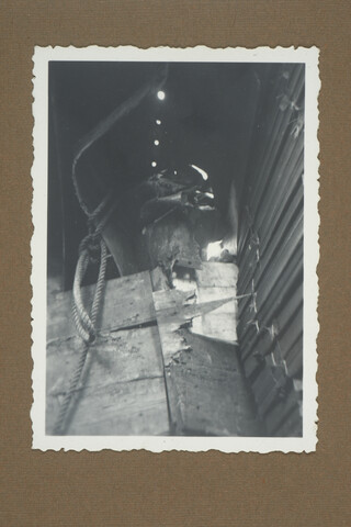 2001.1755; Omslag met vele foto's en knipsels van meest bergingsactiviteiten door Reederij v/h Gebroeders Goedkoop te Amsterdam in de periode 1929 / 1949; omslag