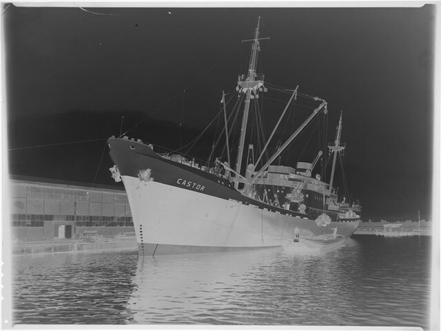 1998.1795; Het vrachtschip ms. 'Castor' van de KNSM; negatief
