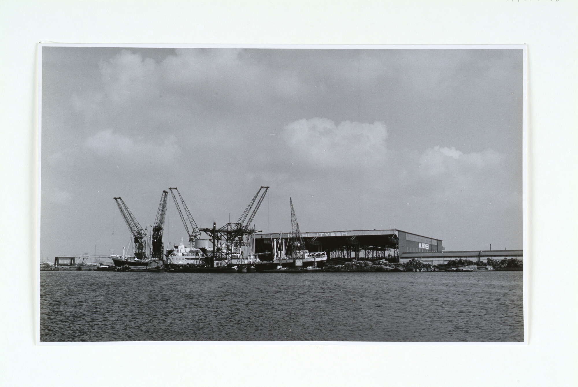 1998.0196; Houtoverslag in de Houthaven bij de Houtveem te Amsterdam: het lossen van hardhout uit West-Afrika uit het Britse vrachtschip ms. 'Ebani' uit Liverpool; foto