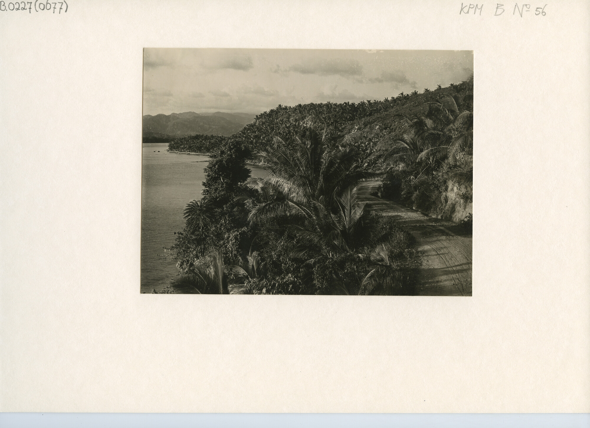 B.0227(0677); Gezicht op de kust: Weg langs de kust van Amboina; foto