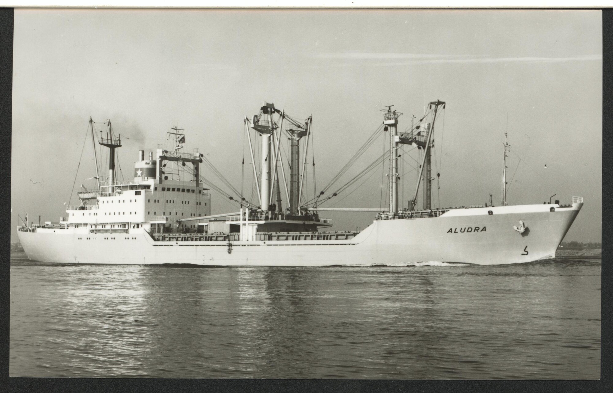 1993.6580; Het vrachtschip ms. 'Aludra' van Van Nievelt Goudriaan & Co.; prentbriefkaart