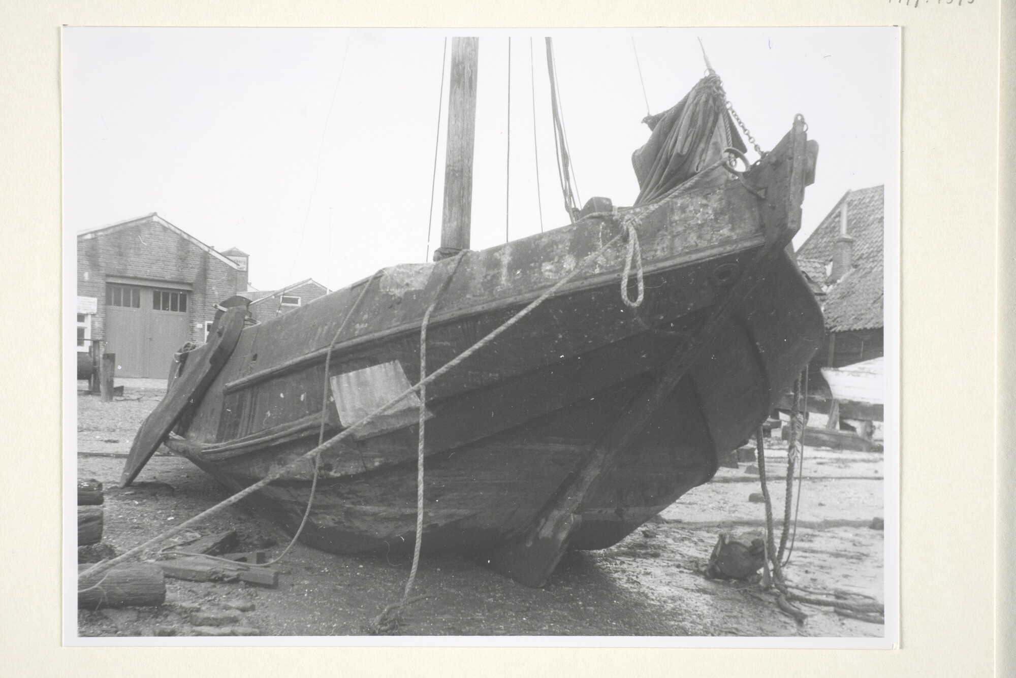 1997.1595; Een 'verdwaalde' hengst op Terschelling en daar opgelegd op de werf van Rederij Doeksen; foto