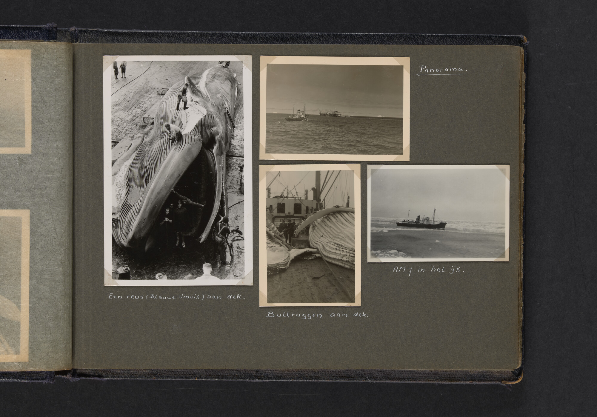 2021.0009; Fotoalbum van Joost Ossewaarde, 4e radiotelegrafist op walvismoederschip Willem Barendsz (II) en walvisjagers, met foto's van vangstseizoenen 1955-1956 en 1956-1957.; fotoalbum