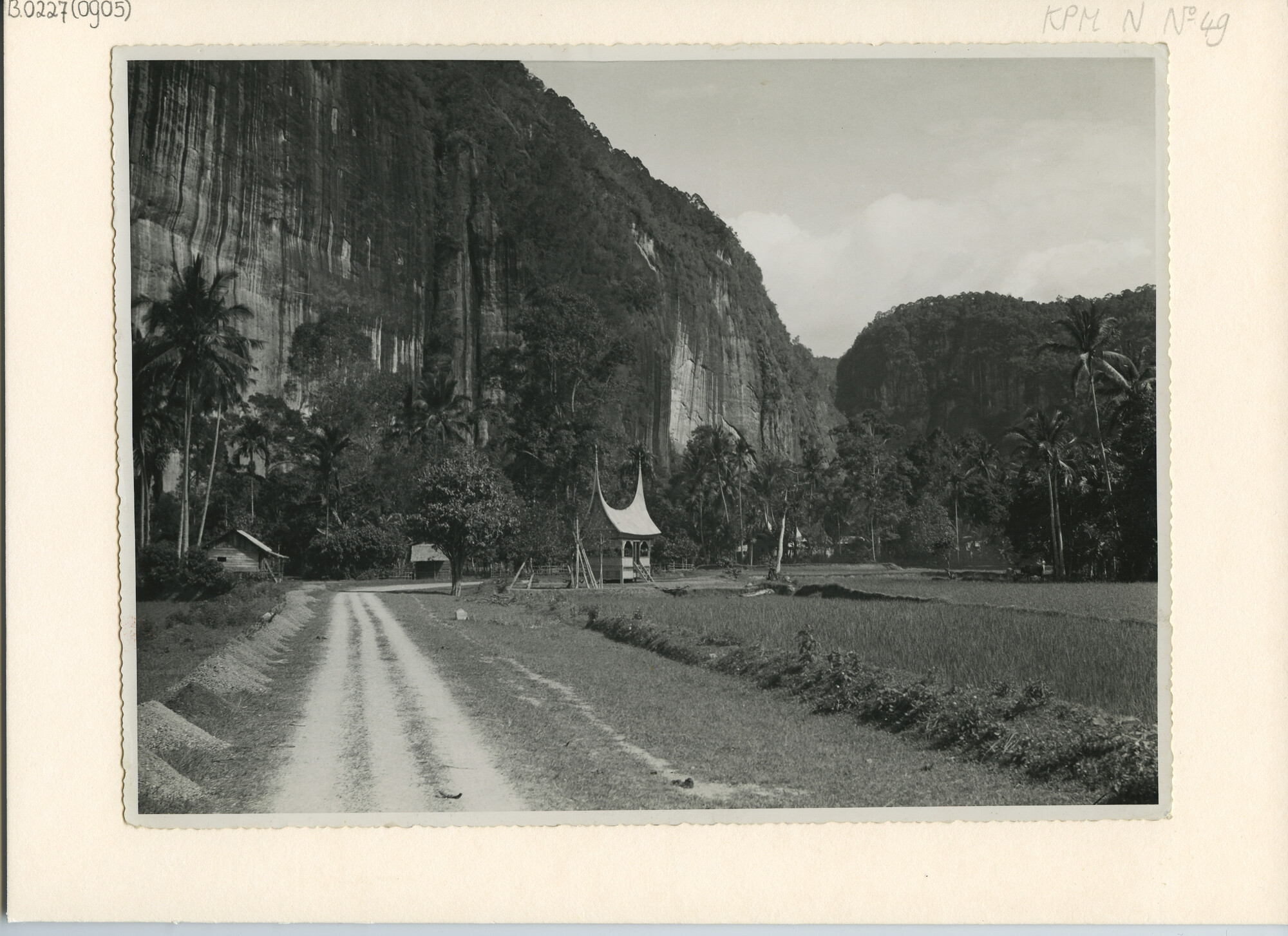 B.0227(0905); Landschapsfoto van de Haraukloof; foto