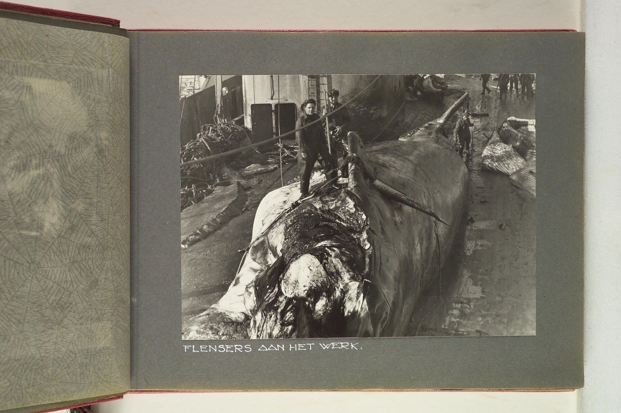 1996.1629; Foto's gemaakt aan boord van het walvismoederschip ms. Willem Barendsz (I); fotoalbum