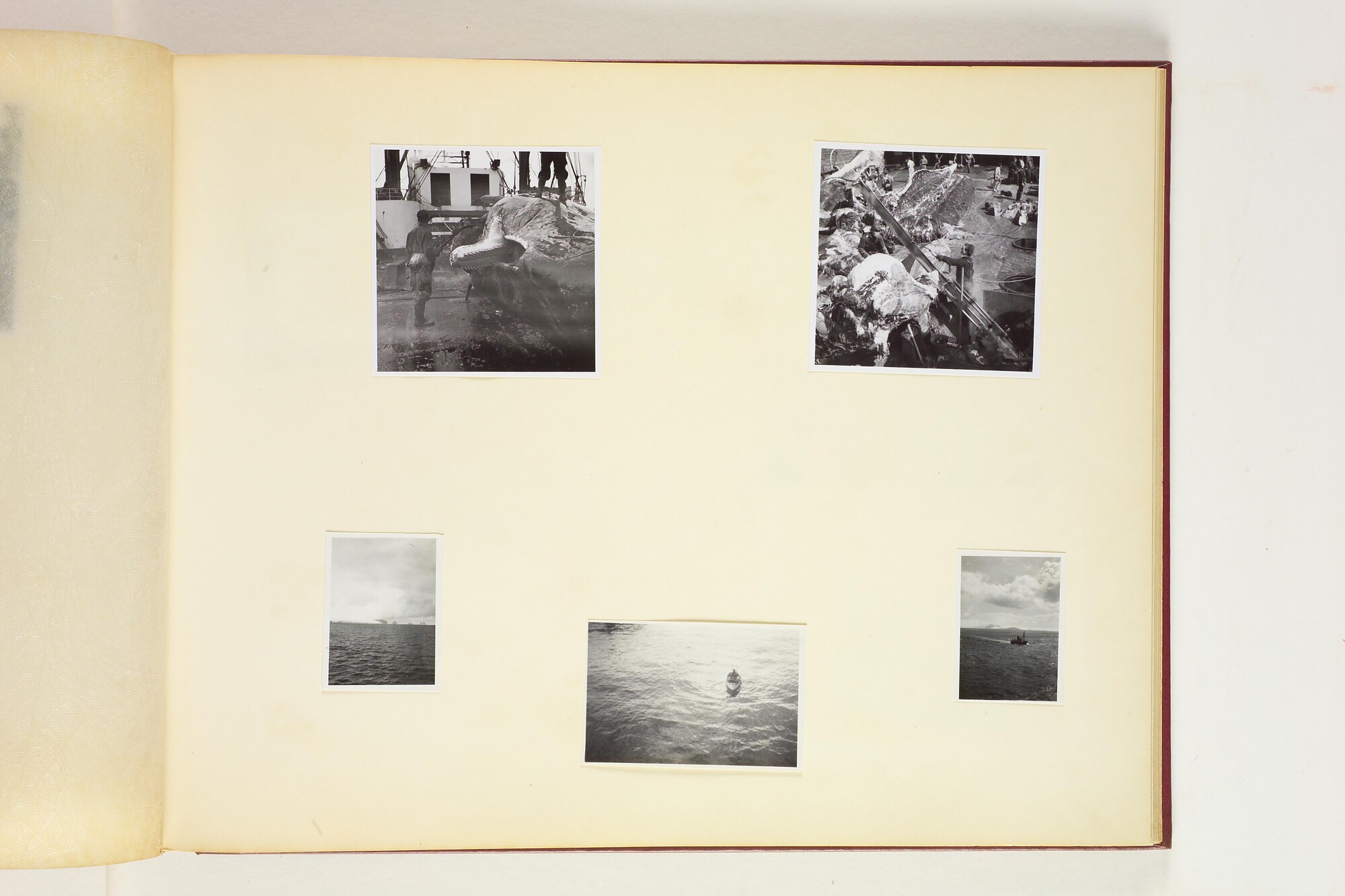 1990.0580; Eerste album met foto's van het walvismoederschip ms. Willem Barendsz (I); fotoalbum