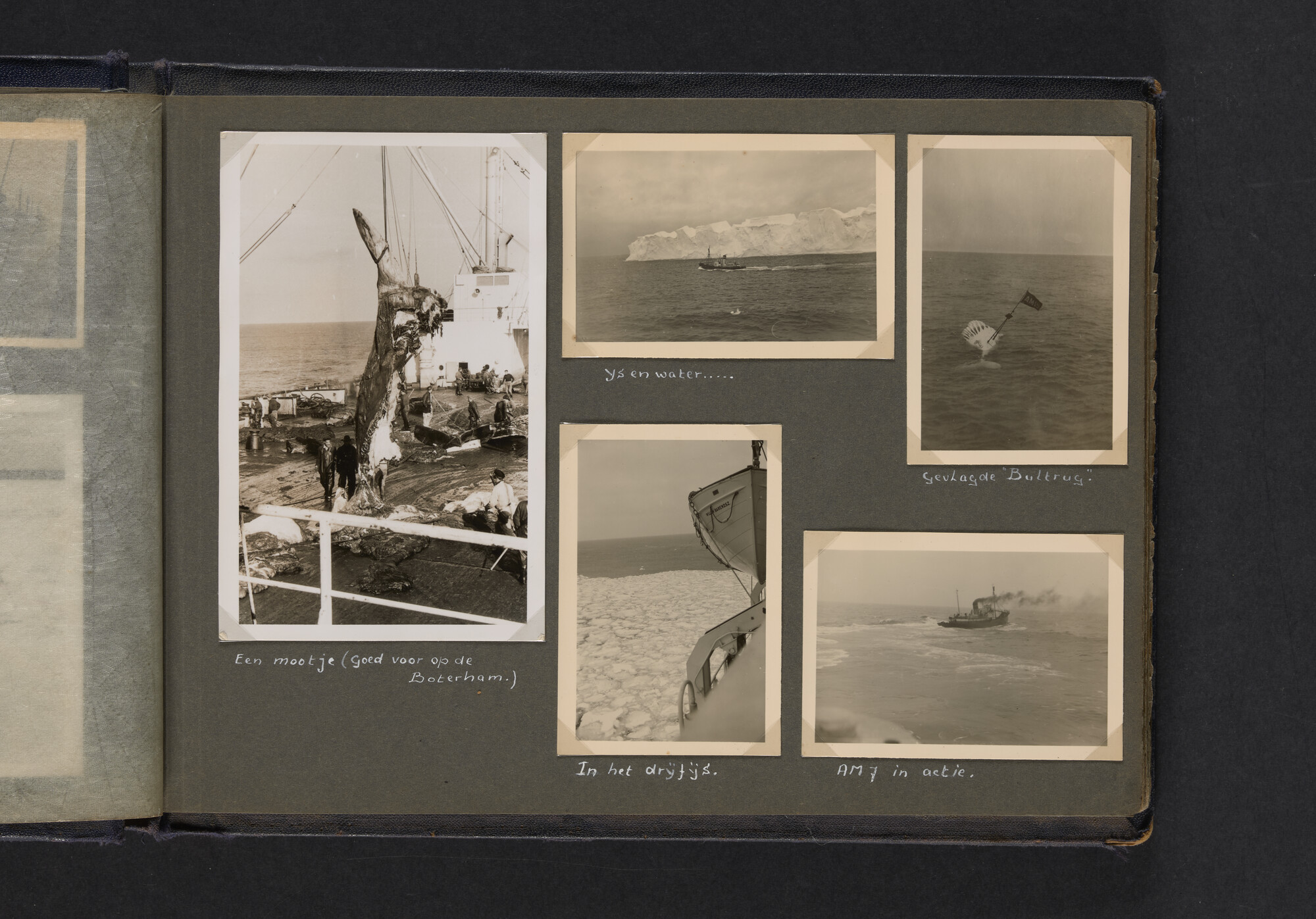 2021.0009; Fotoalbum van Joost Ossewaarde, 4e radiotelegrafist op walvismoederschip Willem Barendsz (II) en walvisjagers, met foto's van vangstseizoenen 1955-1956 en 1956-1957.; fotoalbum