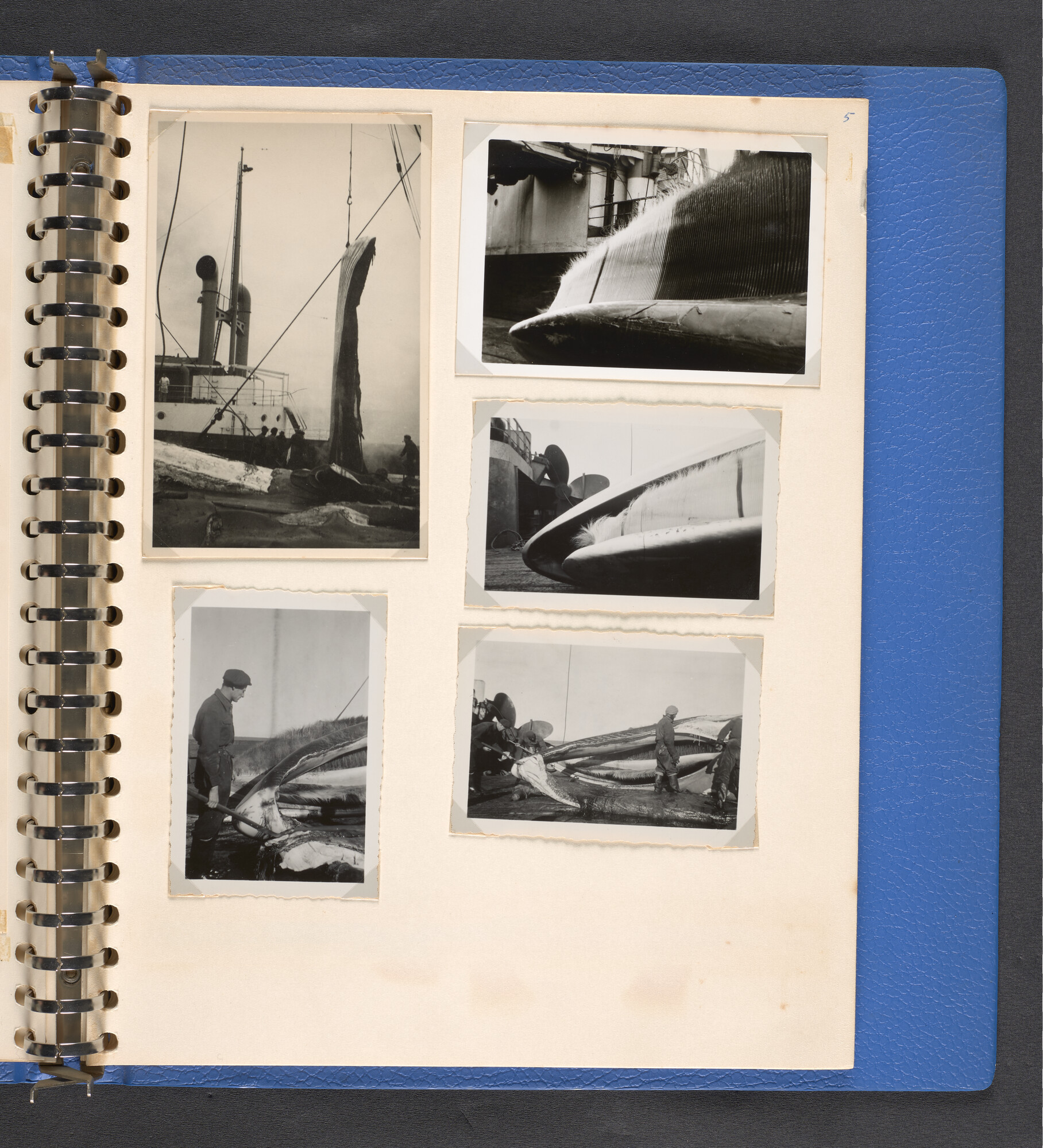 2022.1516; Multomap met foto's gemaakt tijdens reizen van walvisfabrieksschip Willem Barendsz (I), seizoenen 1947-'48 t/m 1950-'51; fotoalbum