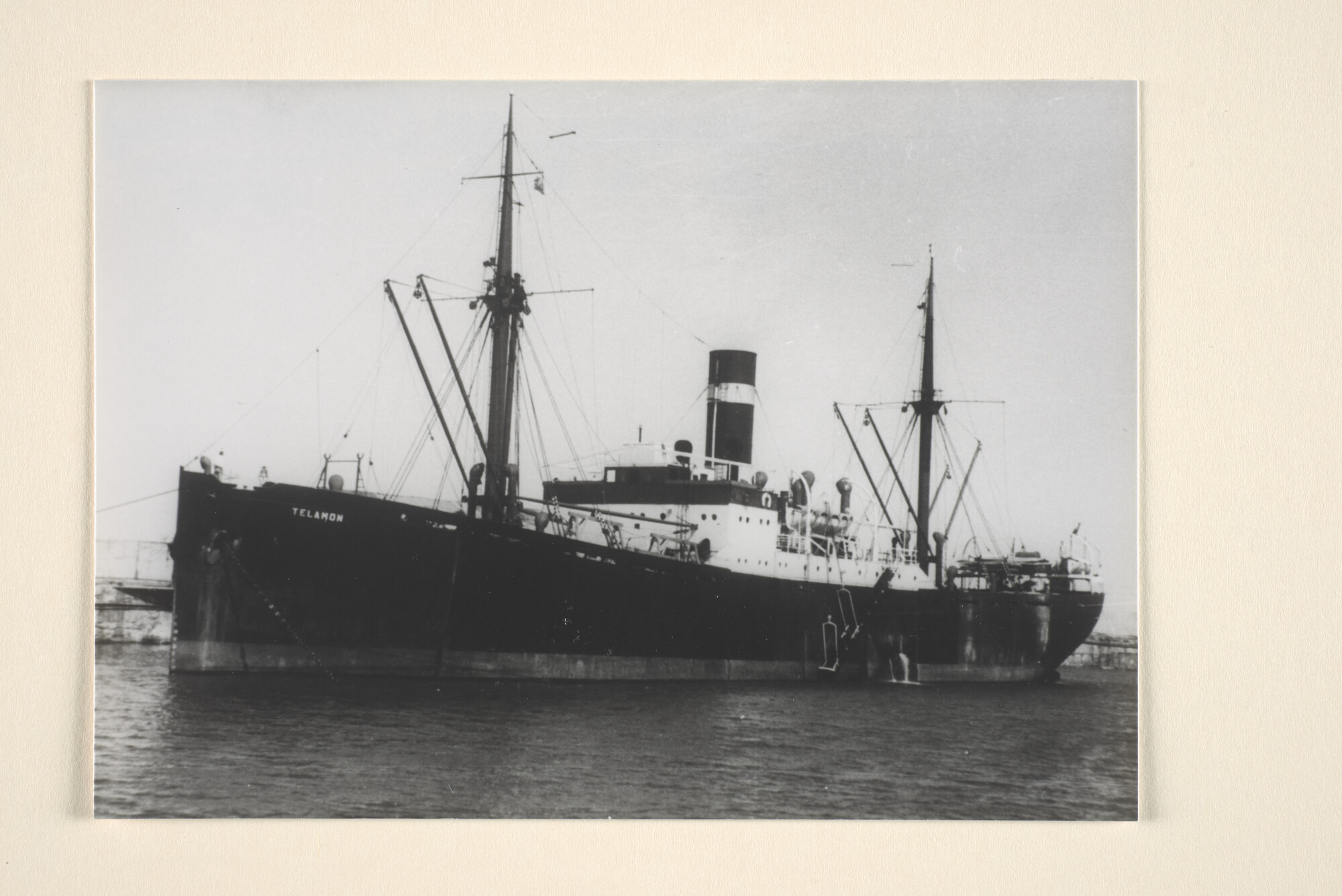 1995.6950; Het vrachtschip ss. Telamon van de KNSM in een haven; foto